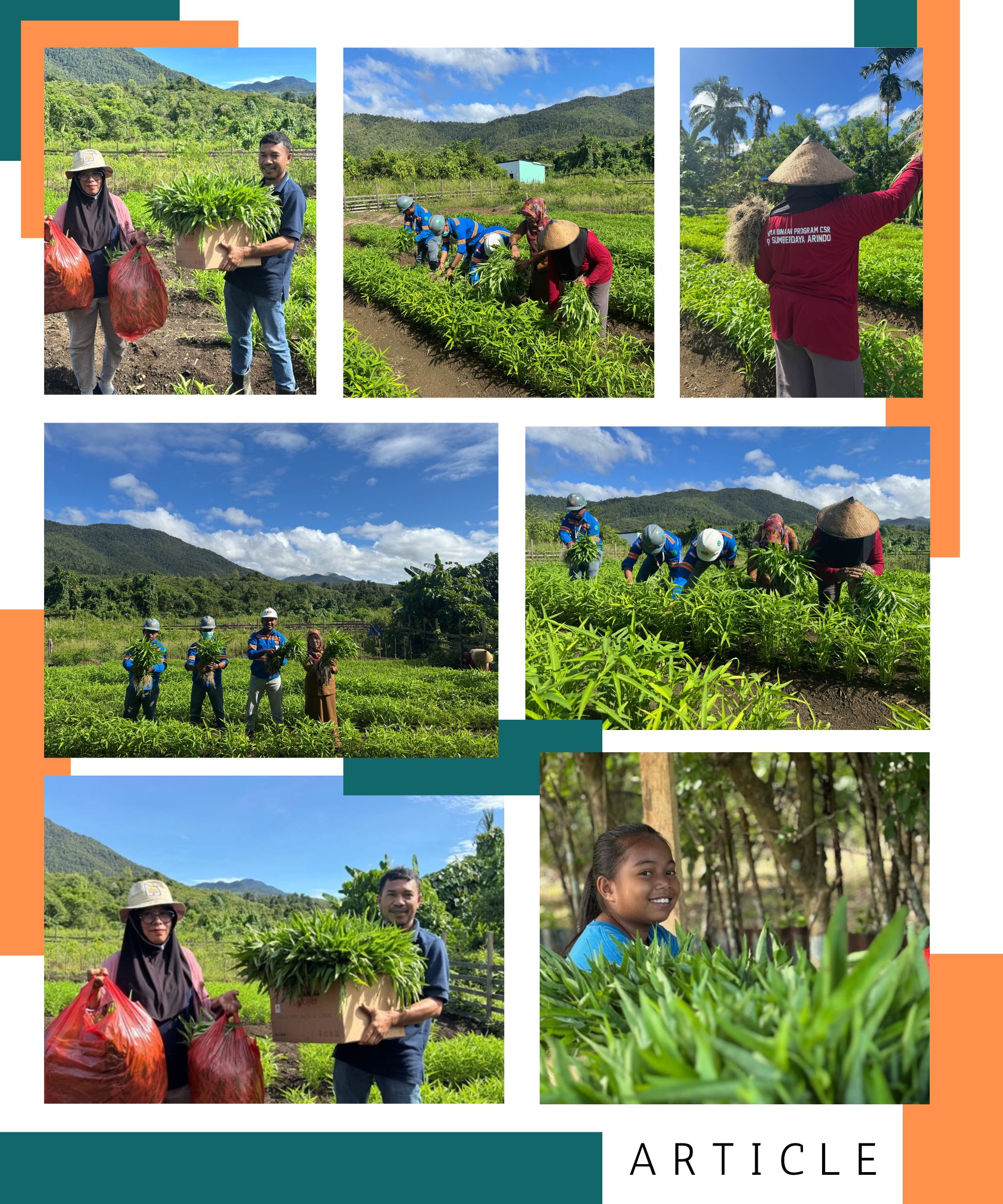 Sinergi Tambang dan Tani: Fun Nabetli Wujudkan Ekonomi Hijau