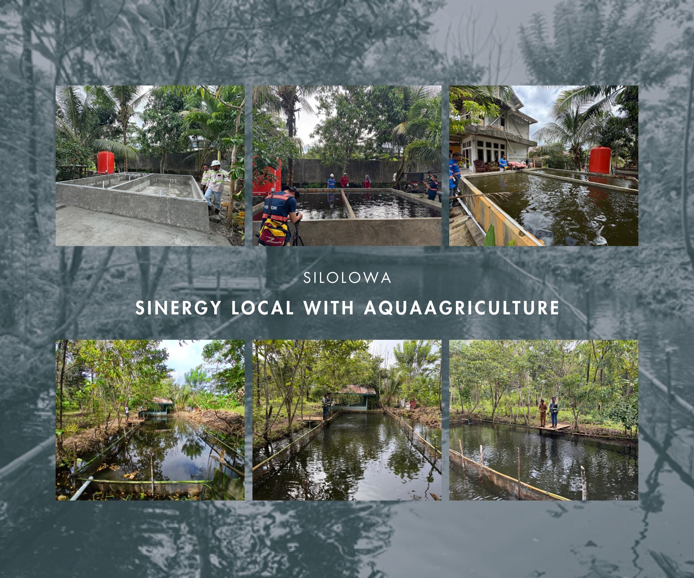 Silolowa (Sinergy Local with Aquaagriculture): Budidaya Ikan Air Tawar sebagai Solusi Pemberdayaan Masyarakat Sekitar Tambang